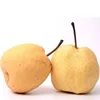 2019 China quality fresh pear exporter