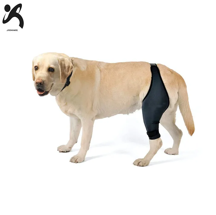 

Customized high quality canine back leg compression dog brace wrap knee support for protects dog leg protect sleeve, Black
