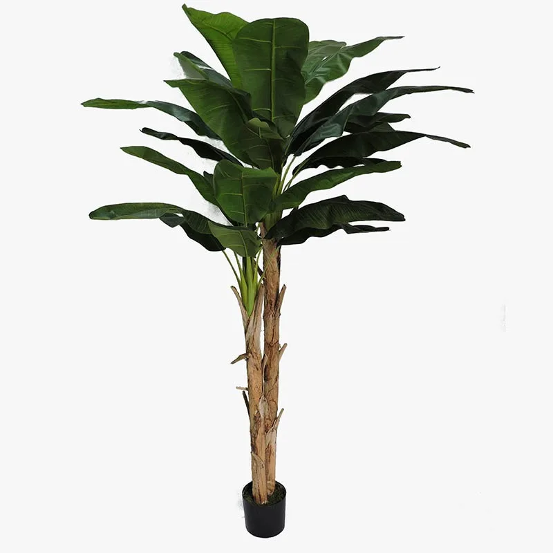 210cm H Banana tree P200190QS-210 $37.95 MOQ 50
