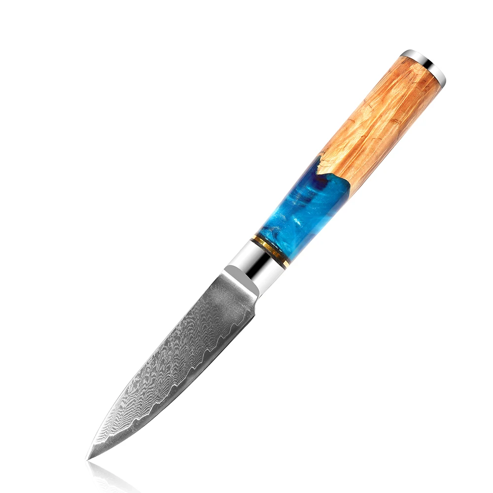 

Hot Selling Blue Resin Handle Damascus VG10 Fruit Knife