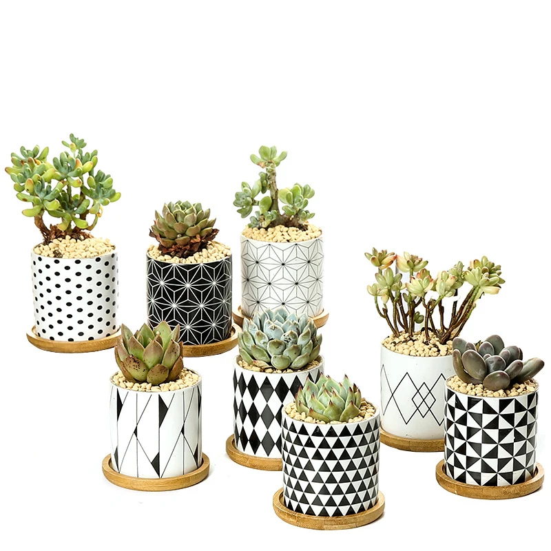 

Custom design cheap wholesale ceramic indoor succulent plant pots with bamboo tray, Colorful