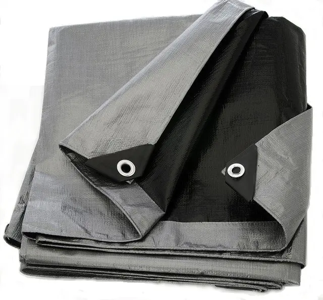 Silver tarp 1.jpg