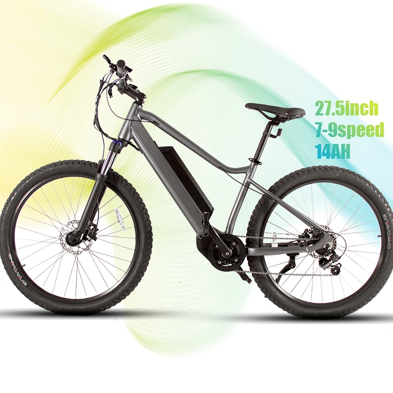 

Competitive price supply 2 warranty years electric road bike 500w bike with torque sensor