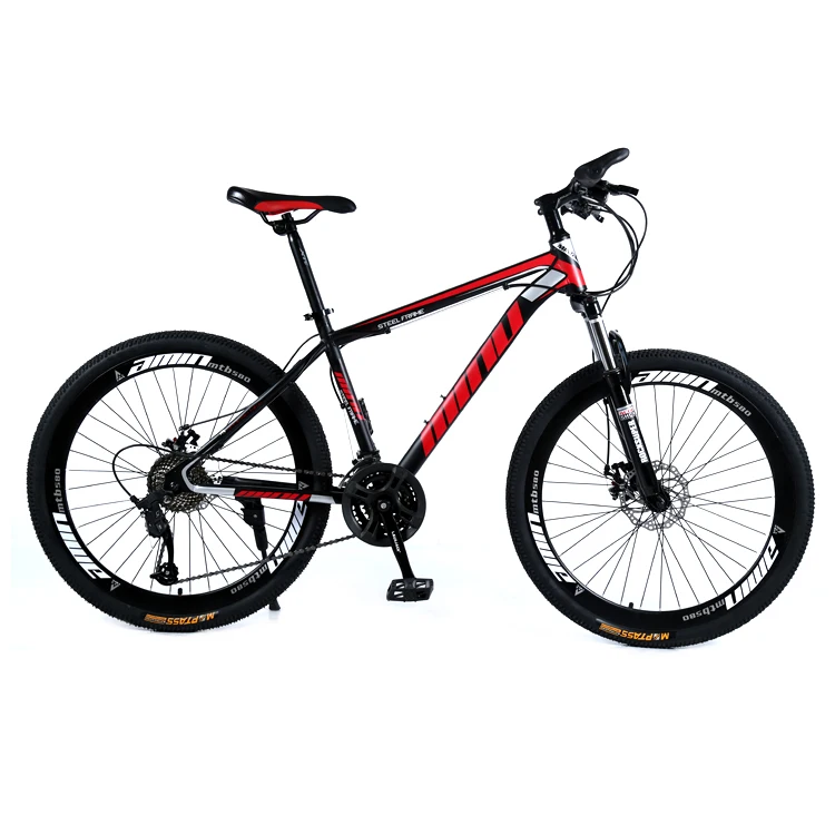 Mountain bike (2)
