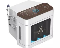 

2019 New Dermaspa Aqua Peel Small Bubble Facial Beauty Machine