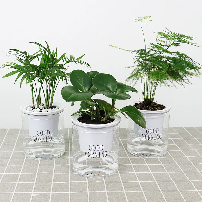 

Cheap For Sale Indoor Office Round Hydroponic Transparent Clear Succulents Planter Self Watering Plastic Flower Pots