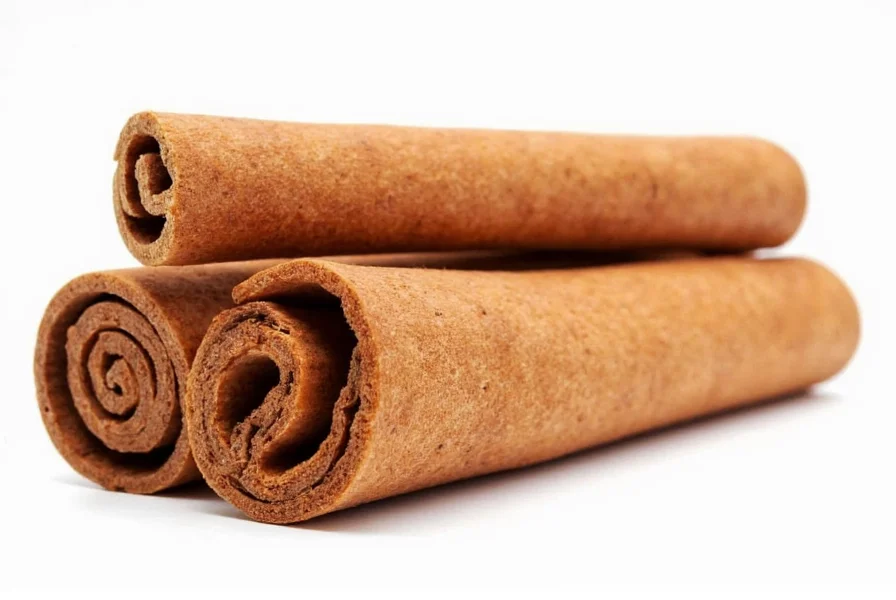 Close-up of cinnamon sticks showing their woody texture and rolled bark structure