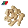 Kind Ginger, Market Price Ginger, Fresh Ginger