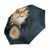 Hign Quality Customized Digital Cat Print Windproof Compact Auto Open and Close 3 Folding Umbrella