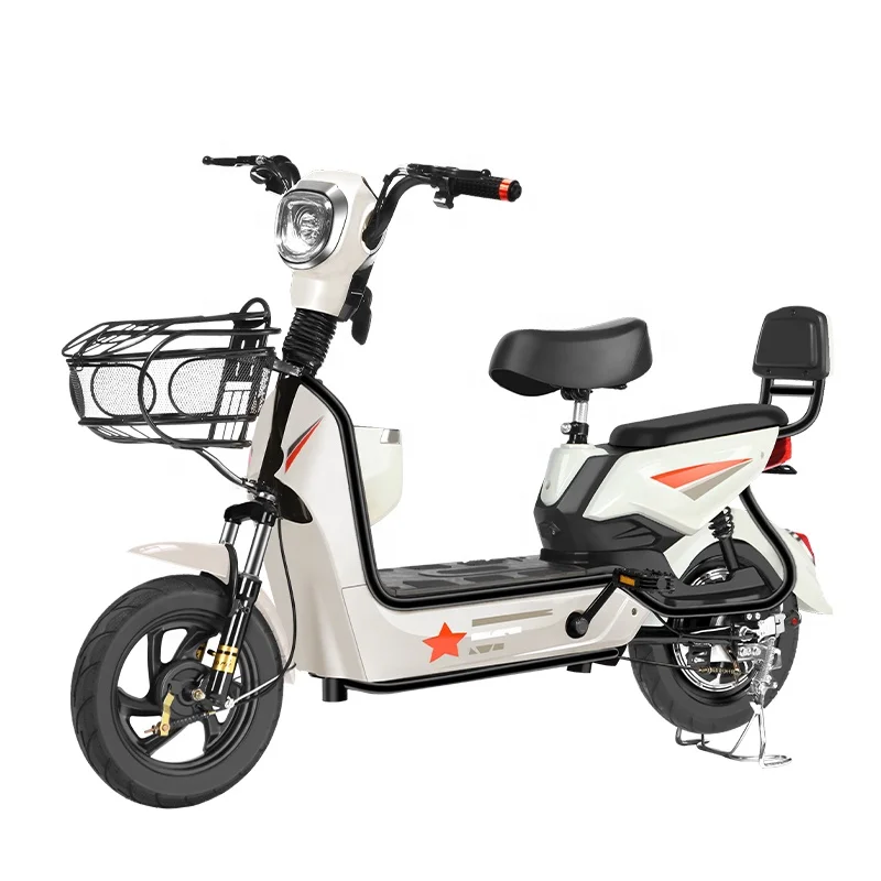 

Professional Brushless Bike Electric Bicycle, Customizable