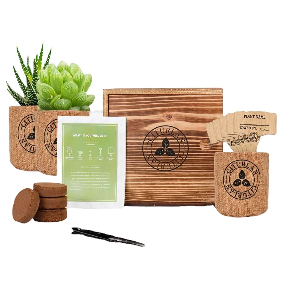 

Factory direct sale Cactus Succulent Seed Starter Kit for indoor decoration