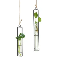 

Hanging Glass Tube Vase Test Tube Hanging Flower Vase for Home Decoration Green Plants Wedding Flowers, Patio Garden Decor