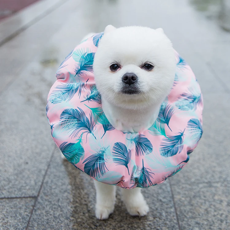 

Soft Adjustable Pet Recovery Appeal Cone for Dog and Cat After Surgery