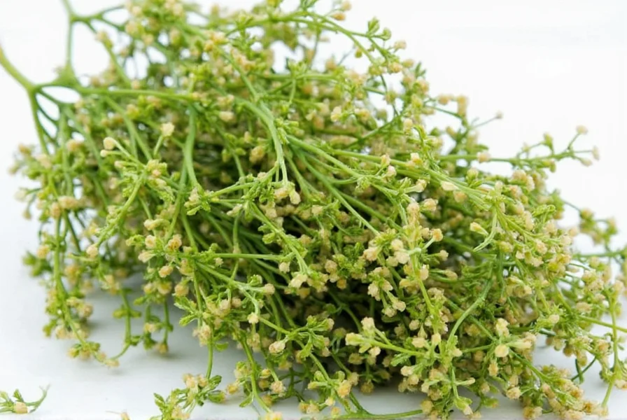 Bowl of dried marjoram on wooden table