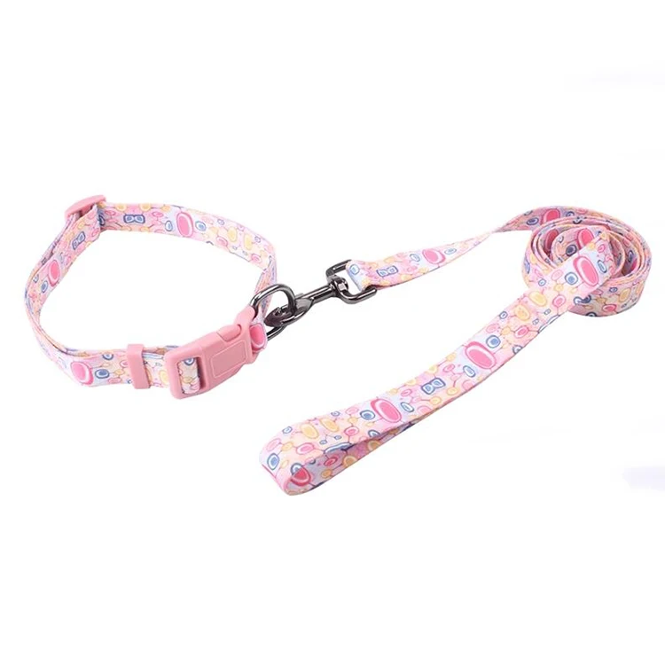 Dog collar leashes-26