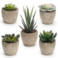 

Set of 5 Artificial Succulent Plants Decorative Faux Succulent Potted