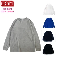 

250 GSM 100% cotton long sleeve blank custom logo mens t shirt t-shirt for men