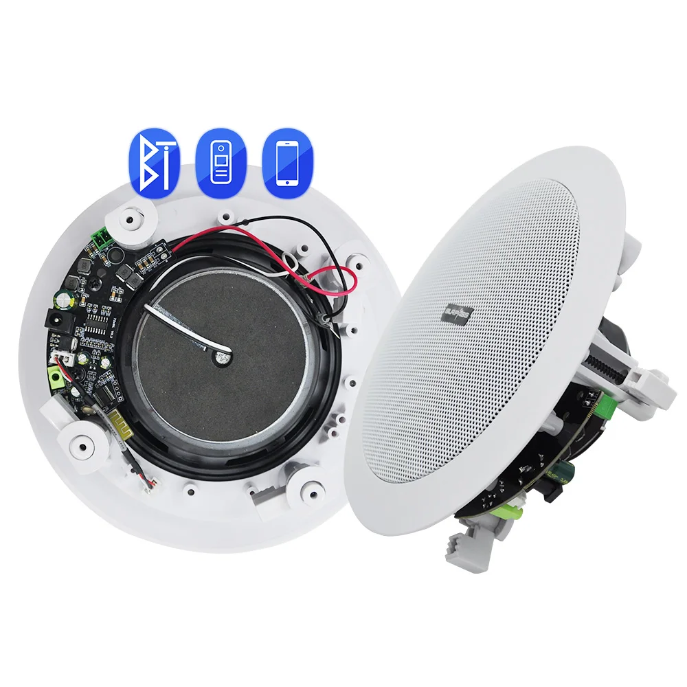 

5.25 Inch Coaxial Ceiling Speakers Full Frequency Wireless Audio Speakers