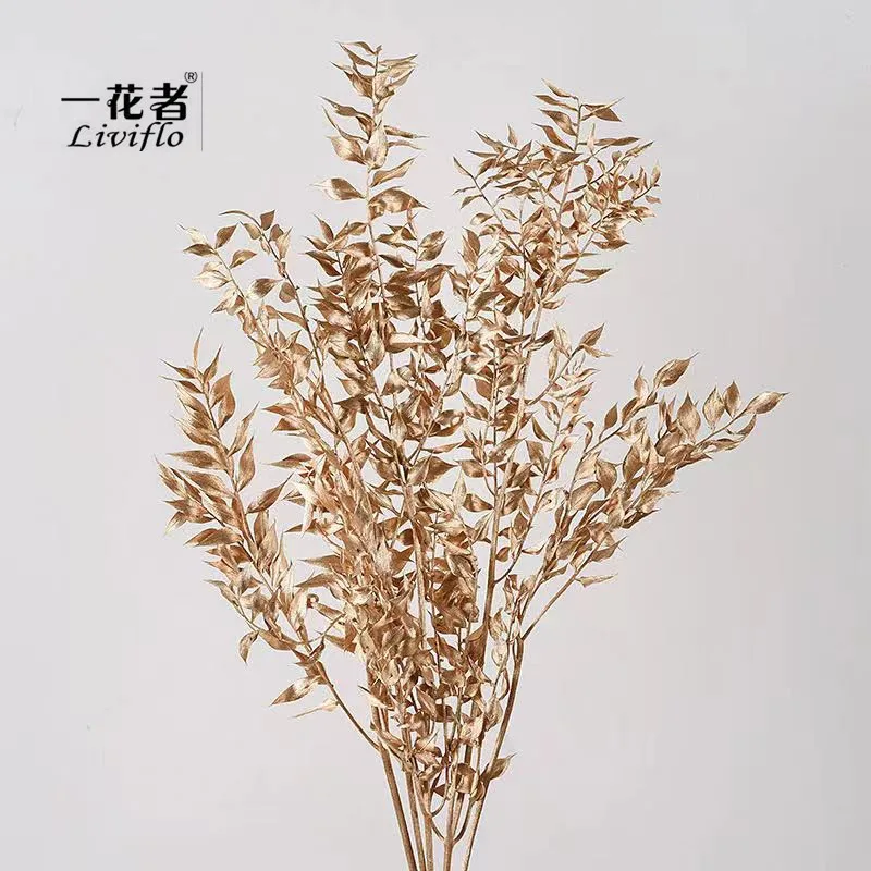 

Factory hot sale decorative flowers preserved flowers ruscus bleached ruscus real leaves