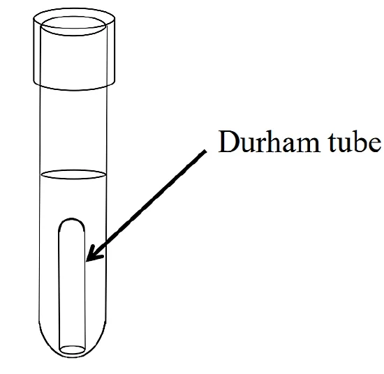 Biological Laboratory Use Durham Tube Small Catheter 6x30mm Glass