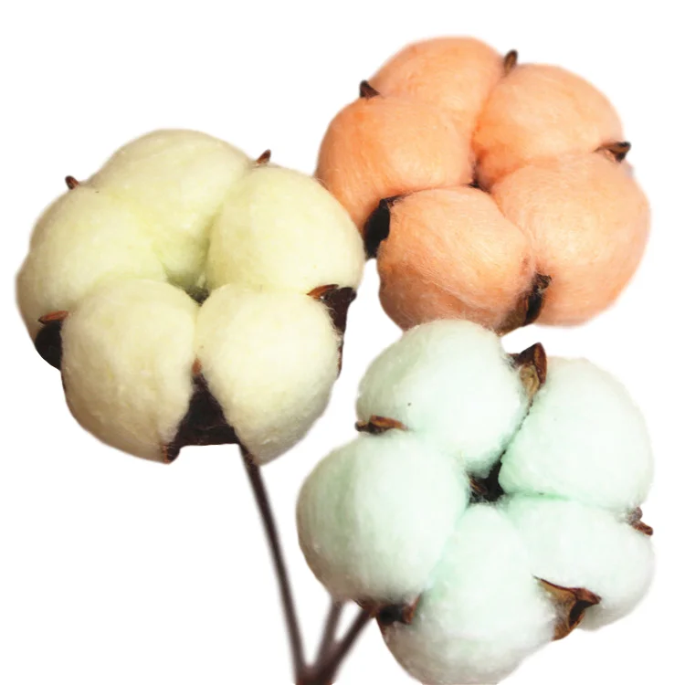 dry flower cotton with stem household flower arrangement bouquet