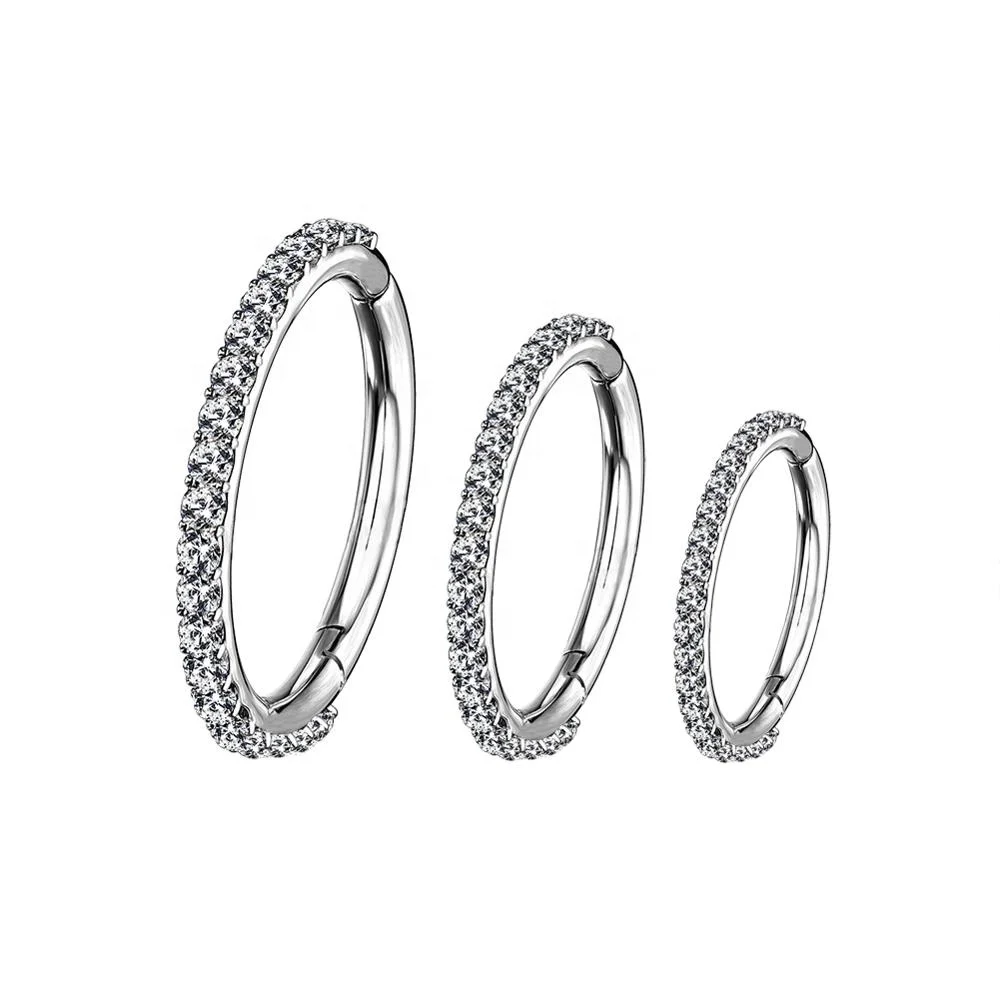 

2023 ASTM F136 Titanium Hinged Segment Ring with Prong Set CZ Hoop Ring Body Piercing Jewelry