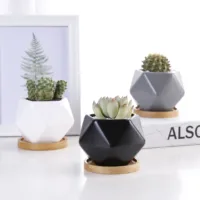 

Wholesale geometric design small cute succulent pots ceramic pots for succulent plants