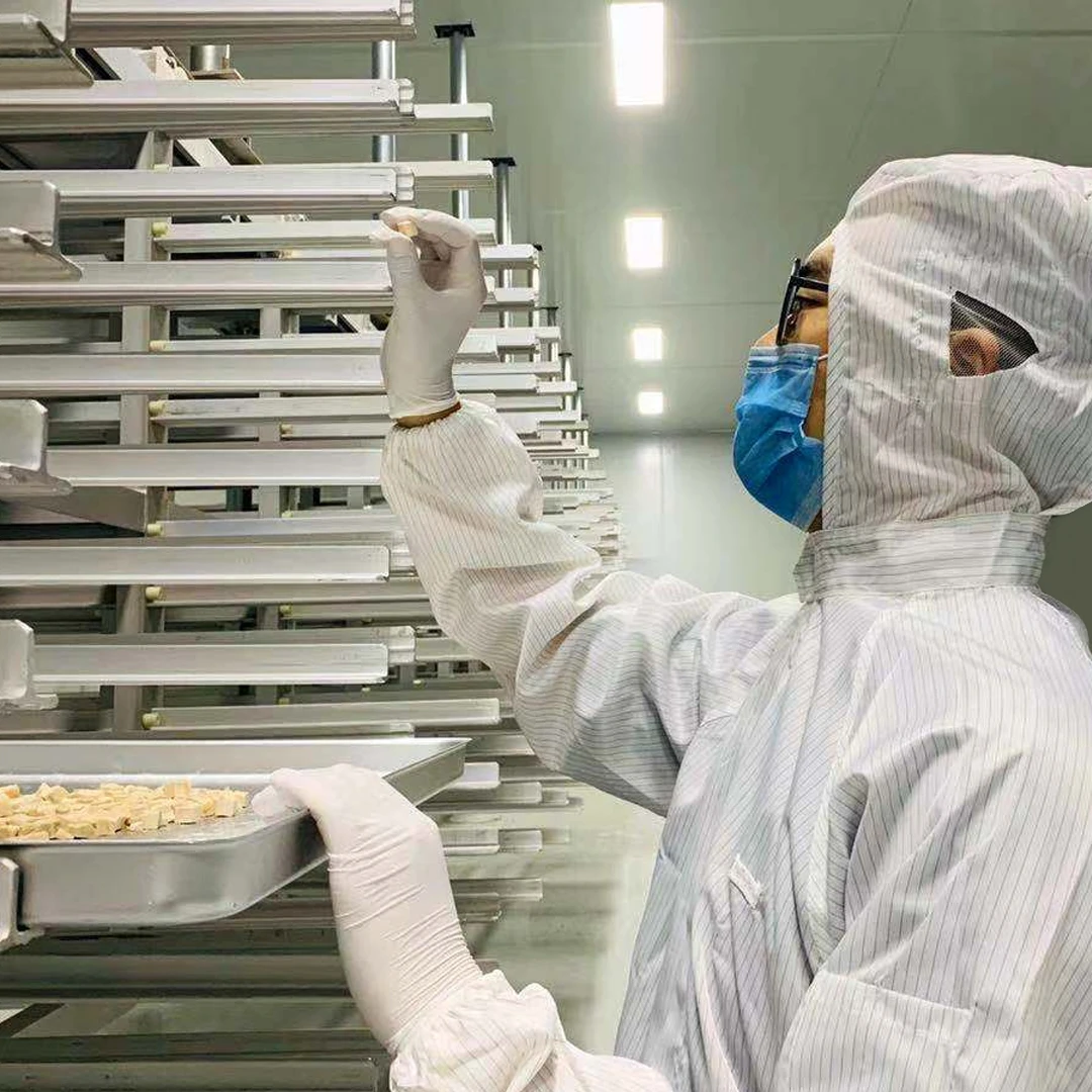 Pet Food Wholesale Bulk Dog Food Natural And Organic Oem Dry Gadus Dog