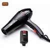 Fashionable Patterns Double Air Salon Professional Dryer Hair Blower