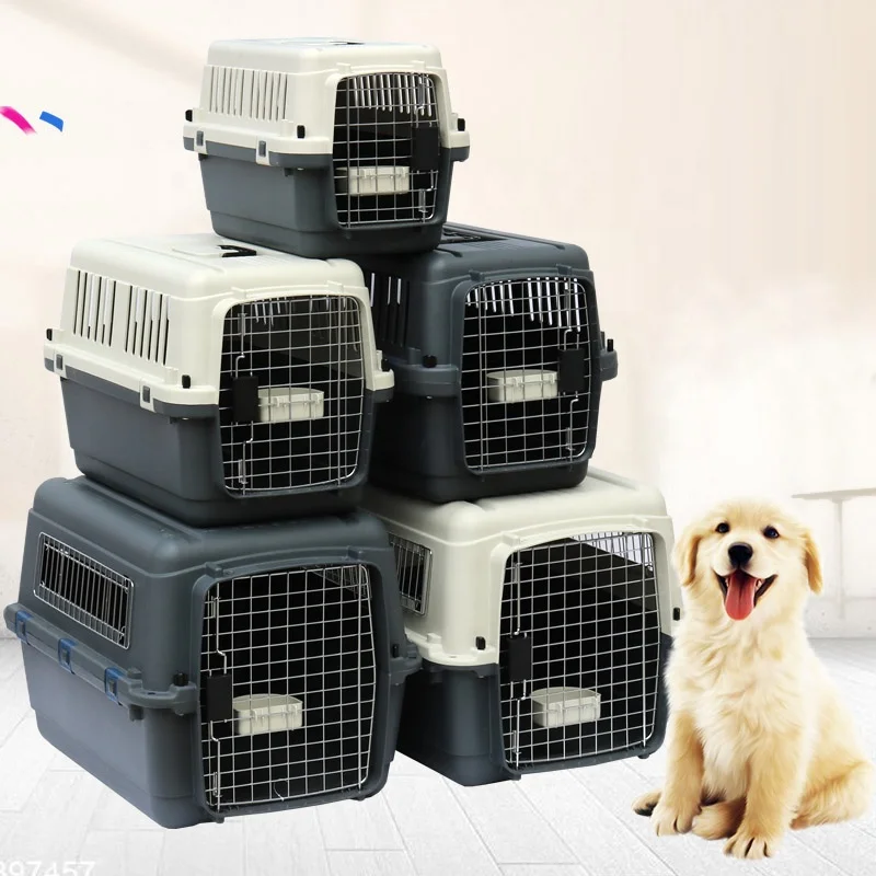

IATA pet carrier clear travel standart crate large dog and cat carry cages kennel air plastic carrier