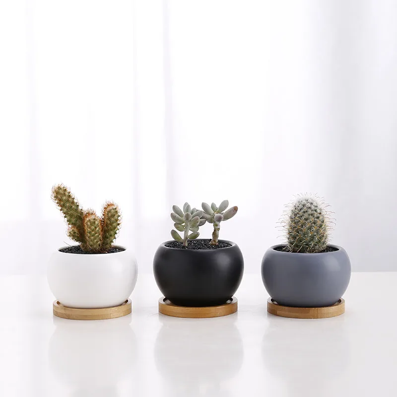 

Quality 3.5inch ceramic small flower pots for succulent plants with bamboo tray wholesale, White, grey, black, blue, yellow, pink