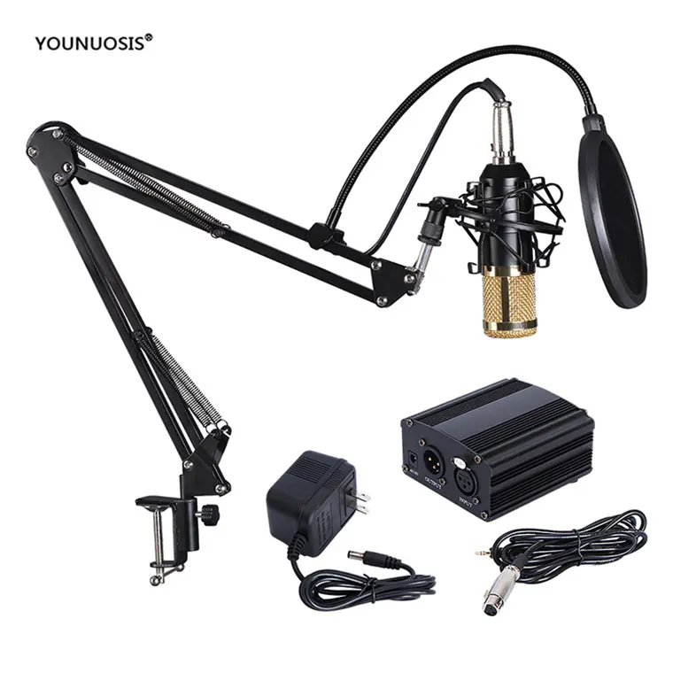 Dynamic condenser microphone BM800 record  phantom power supply