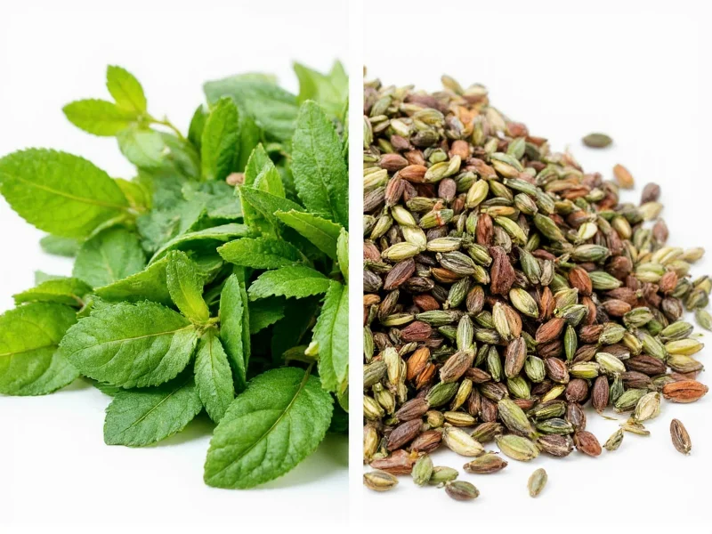 Fresh vs Dried Herbs: When to Use Each (Complete Guide)