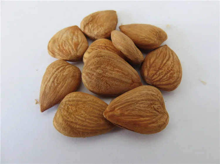 
100% Dried Apricot Kernel 