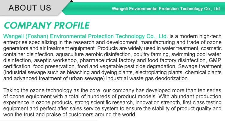 2020 New industrial adjustable 3g 5g air source ozone generator air purifier