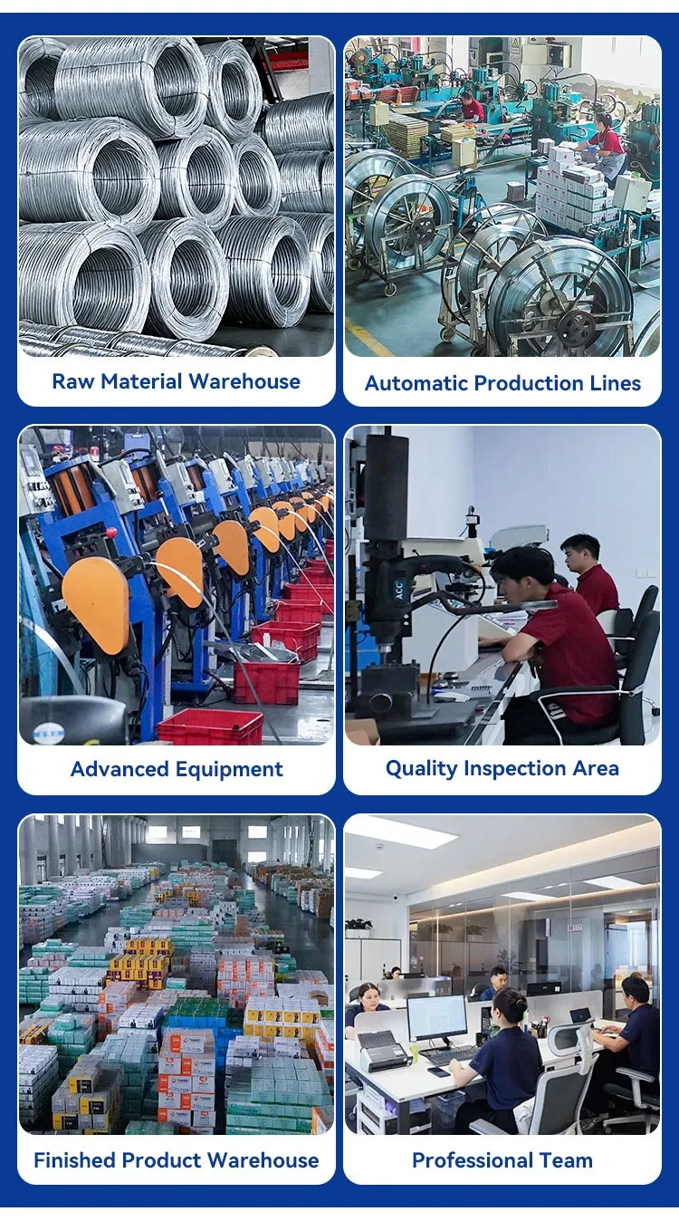 Rhinails factory facilities: raw material warehouse, automatic production lines, advanced equipment, quality inspection area, finished product warehouse and professional team