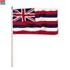 Current hot selling 30*45cm plastic flagpole Hawaii state hand flag