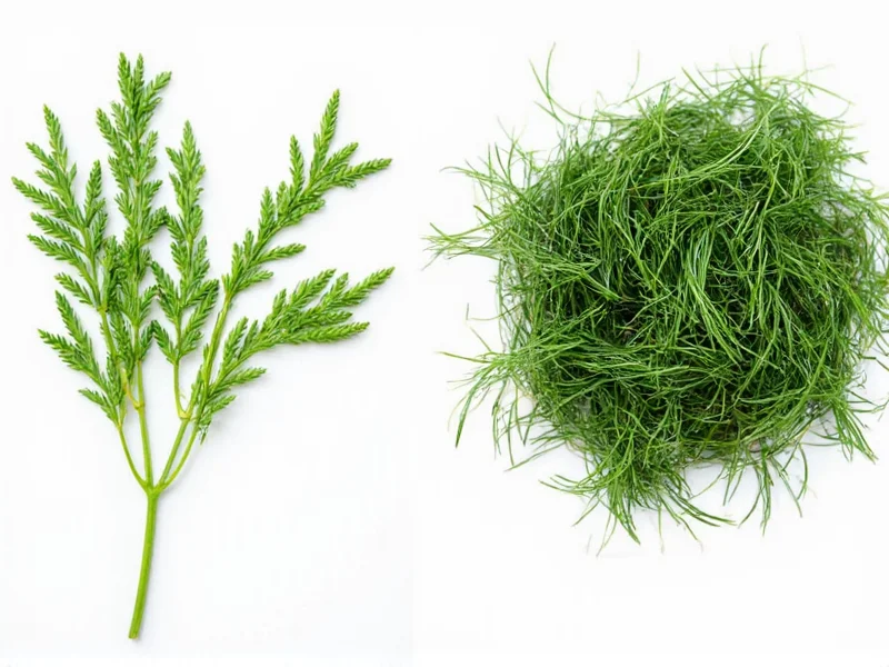 Fresh Dill to Dried Dill Conversion: Exact Measurements