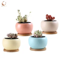 

Quality 3.5inch matt glazed round small ceramic flower succulent pots with bamboo tray wholesale
