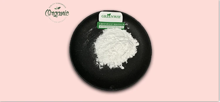 Manufacturers Supply Cheap Price Chemical Raw Material CAS 88-04-0 PCMX Chloroxylenol Powder for Detergent