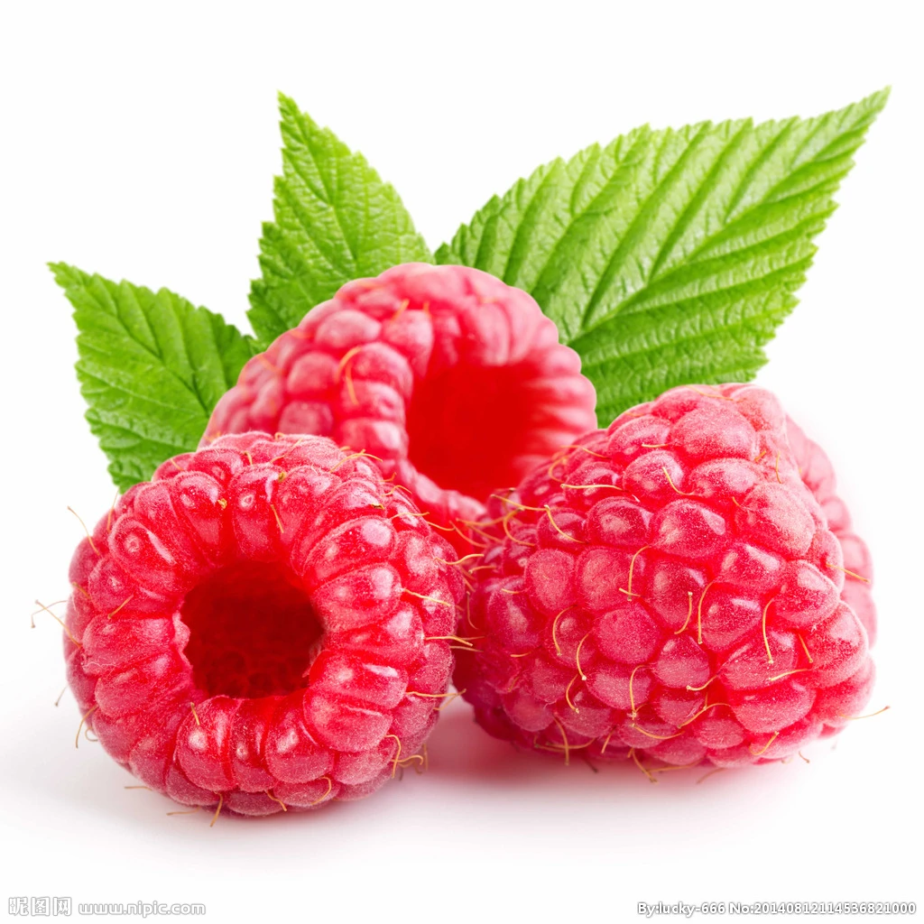 hot sale manufacturer freeze drying raspberry diced 