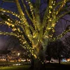 Multi color Christmas decoration mini rubber led string light for holiday