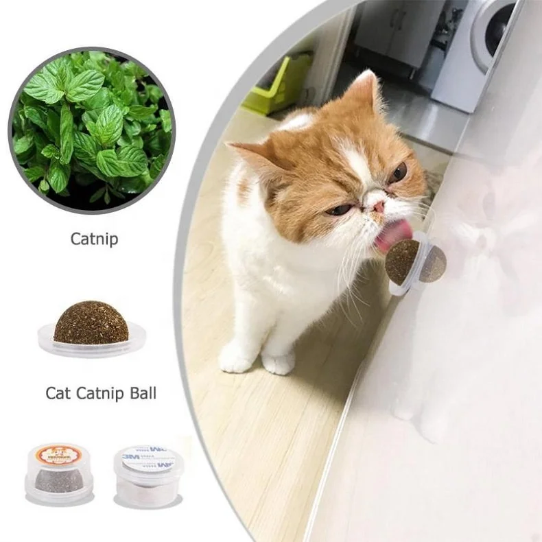 Trussu Treats Silvervine Natural Cats Mint Toys Catnip Ball