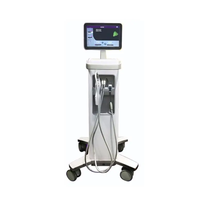 

Professional Microneedle Fractional RF Micro Needle Machine For Skin Rejuvenation
