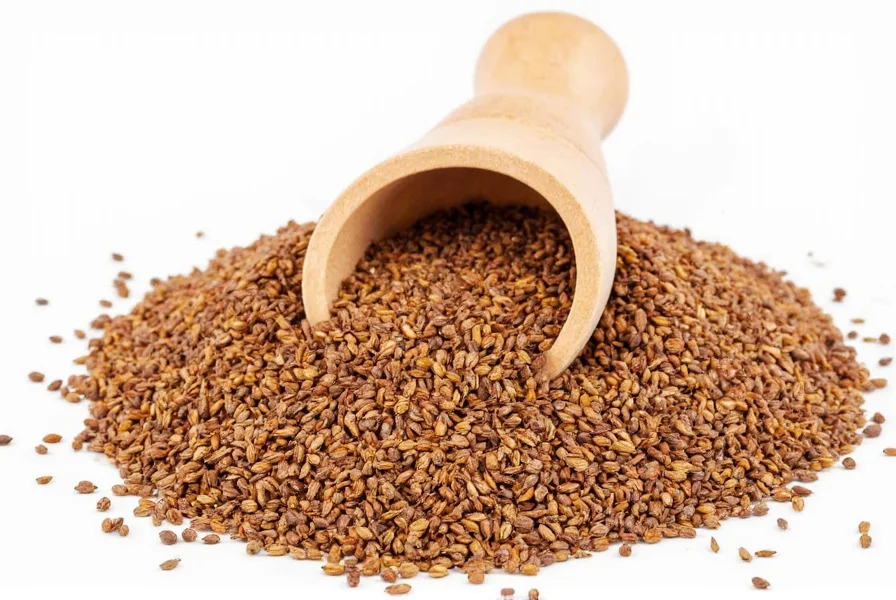 Colorful spice arrangement showing cumin seeds next to complementary spices like coriander, turmeric, and chili powder on marble surface