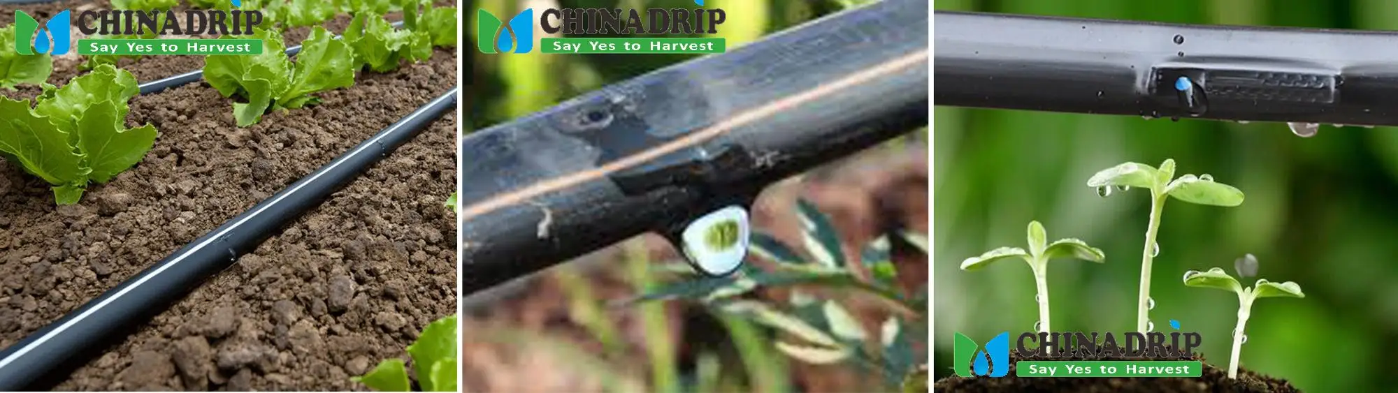 Farm Irrigation Systems Other Watering 16mm PE Material Dripline Pipes for Drip Irrigation System Riego