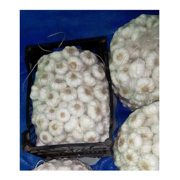 
Hot Sale Fresh White / Red Garlic Low Price Garlic For Sale 