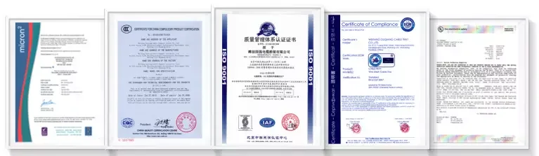 WEIFANG GUQIANG (2).jpg