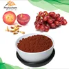 Dietary supplements product puritan's pride grapeseed extract red grape extract muscadine grape extract