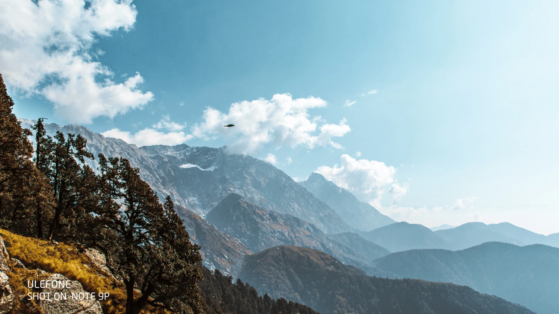 2020 New Smartphone Ulefone Note 9p 6.5inch 16mp Camera Mt6762v/wd Octa